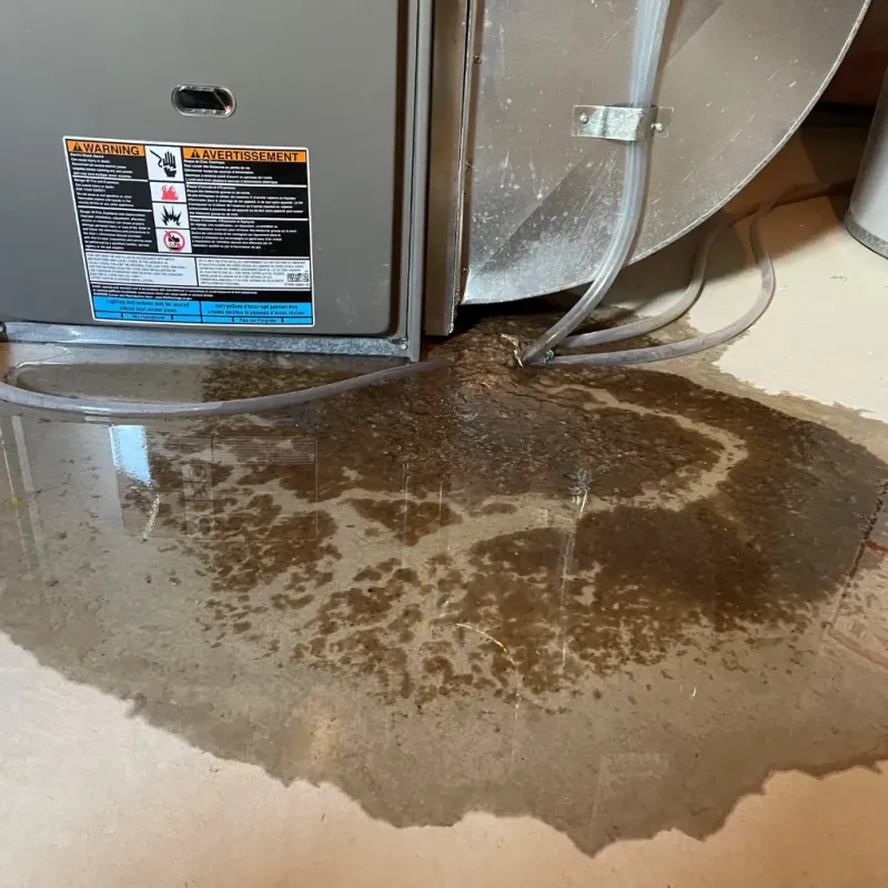 Appliance Leak Cleanup in Staunton, IL