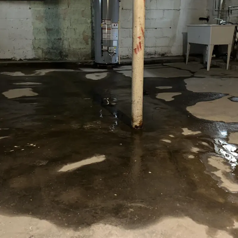 Emergency Water Extraction And Removal in Staunton, IL